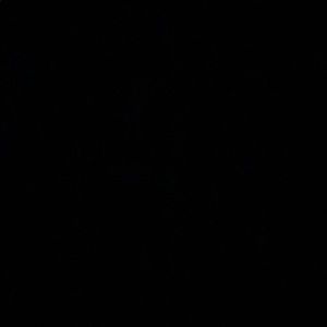 Make offers on my closet! Everything must go!